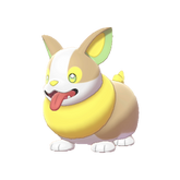 Buy Shiny 6IV Yamper